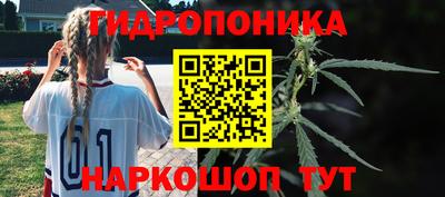 СК Новокубанск