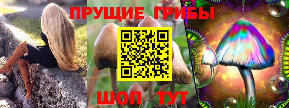 Галлюциногенные грибы прущие грибы Туапсе